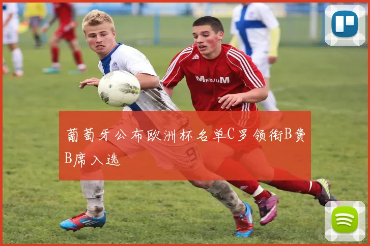 葡萄牙公布欧洲杯名单C罗领衔B费B席入选