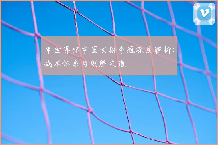 年世界杯中国女排夺冠深度解析：战术体系与制胜之道