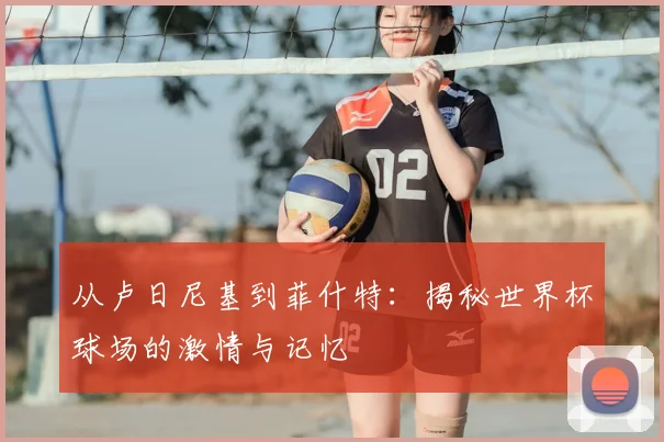 从卢日尼基到菲什特：揭秘世界杯球场的激情与记忆