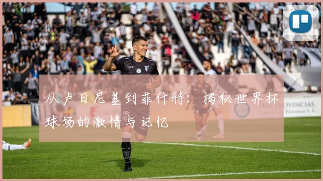 从卢日尼基到菲什特：揭秘世界杯球场的激情与记忆