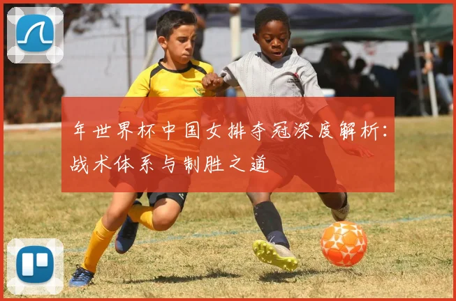 年世界杯中国女排夺冠深度解析：战术体系与制胜之道