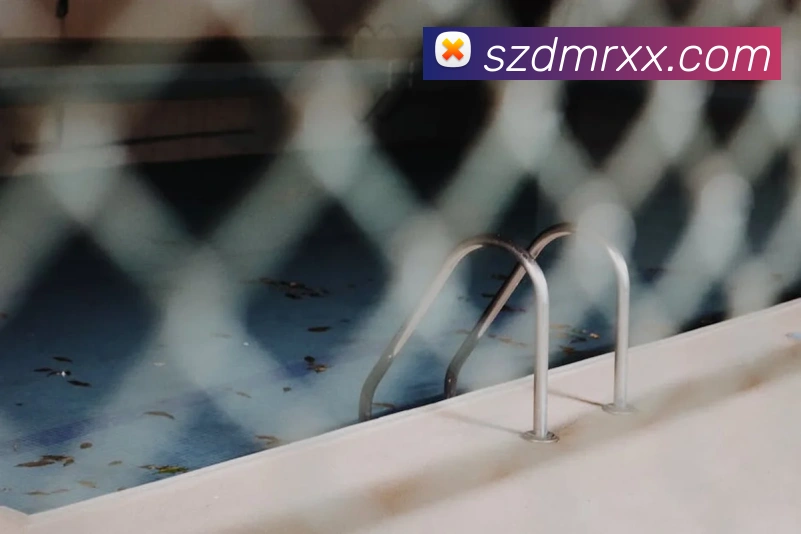 bobapp官网首页平台生态图